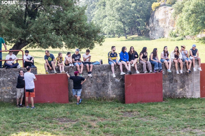 Desencajonamiento 2026./ Viksar Fotografía