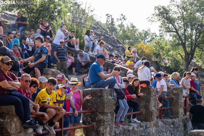Desencajonamiento 2026./ Viksar Fotografía