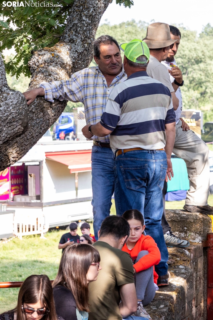 Desencajonamiento 2026./ Viksar Fotografía