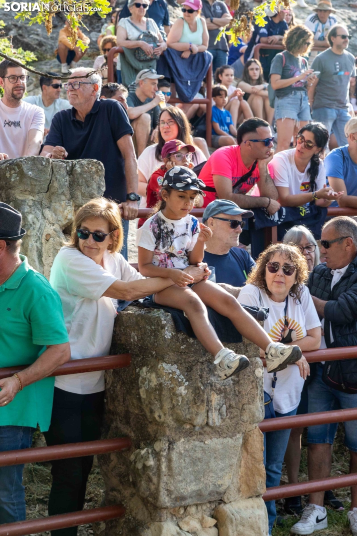 Desencajonamiento 2026./ Viksar Fotografía