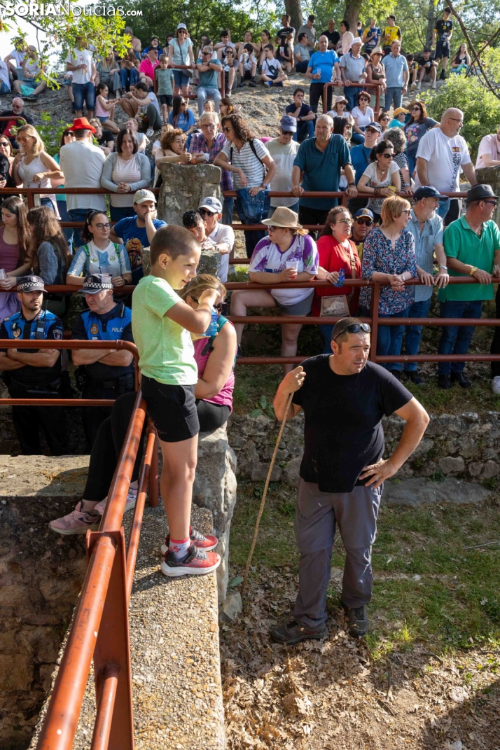 Desencajonamiento 2026./ Viksar Fotografía