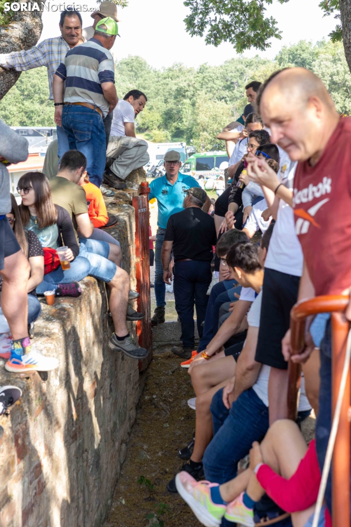Desencajonamiento 2026./ Viksar Fotografía