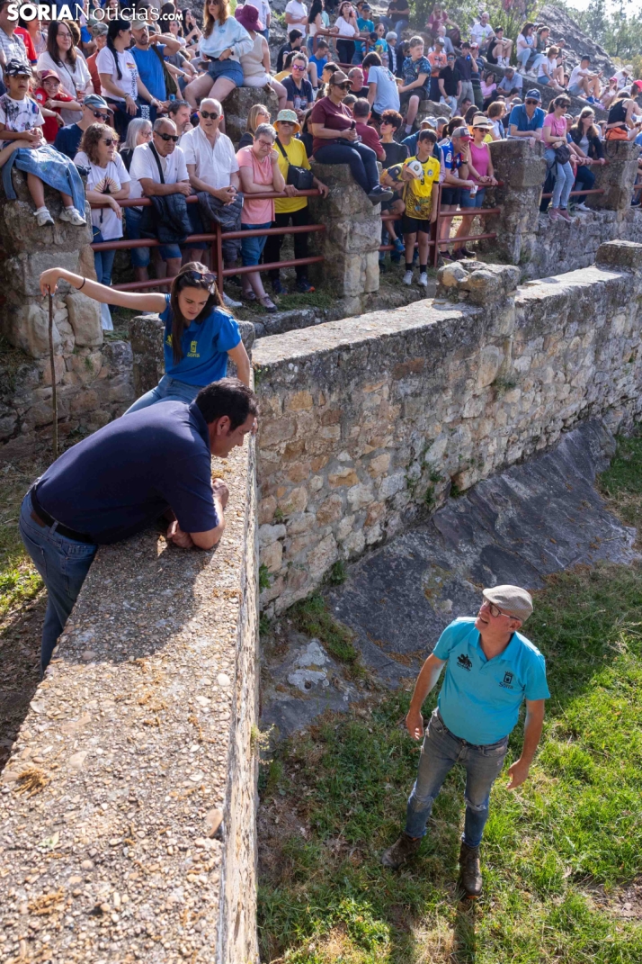 Desencajonamiento 2026./ Viksar Fotografía
