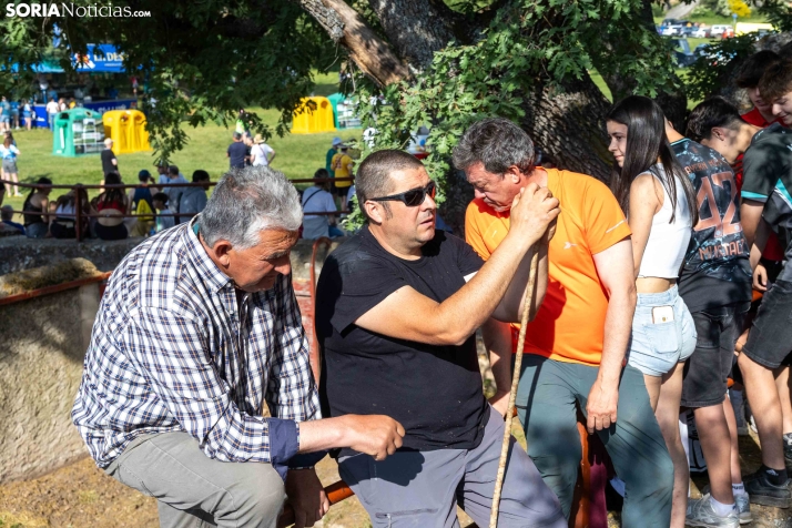 Desencajonamiento 2026./ Viksar Fotografía