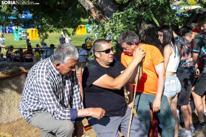 Desencajonamiento 2026./ Viksar Fotografía