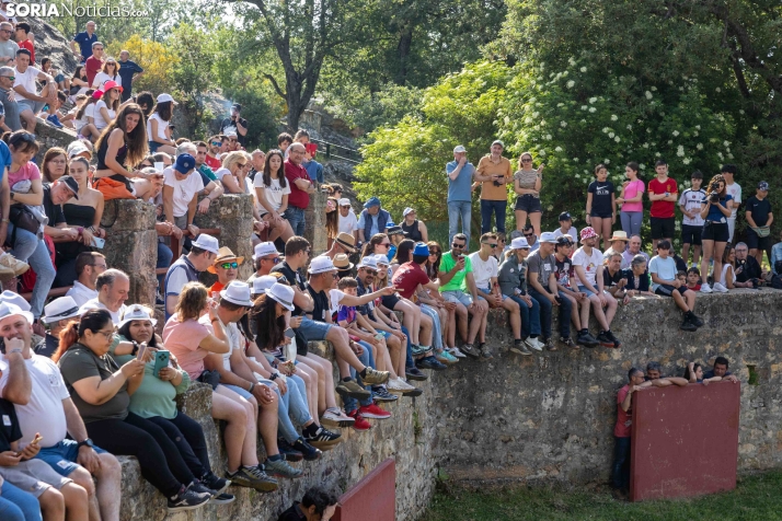 Desencajonamiento 2026./ Viksar Fotografía