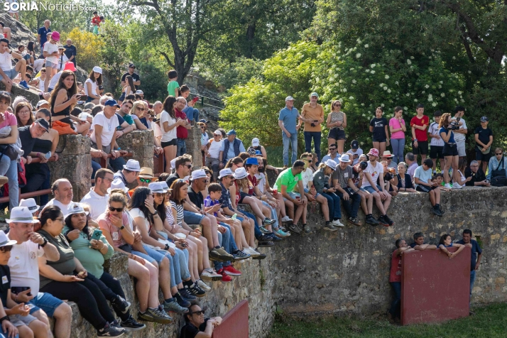 Desencajonamiento 2026./ Viksar Fotografía