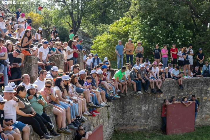 Desencajonamiento 2026./ Viksar Fotografía