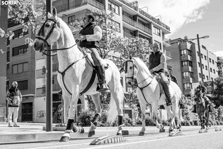 Romería Ecuestre Soria-Valonsadero./ Viksar Fotografía