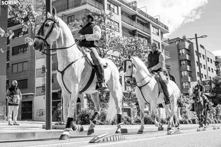 Romería Ecuestre Soria-Valonsadero./ Viksar Fotografía