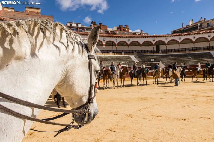 Romería Ecuestre Soria-Valonsadero./ Viksar Fotografía
