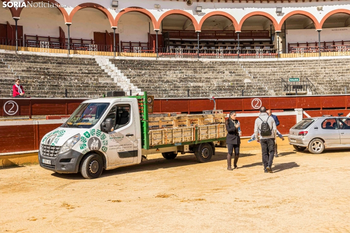 Romería Ecuestre Soria-Valonsadero./ Viksar Fotografía