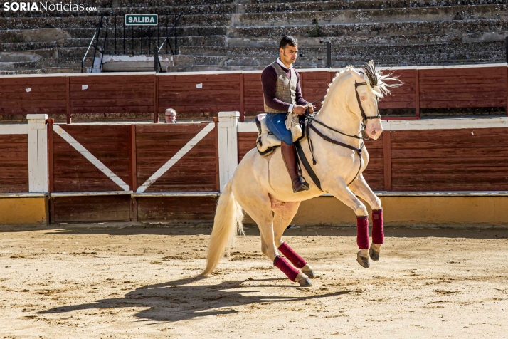 Romería Ecuestre Soria-Valonsadero./ Viksar Fotografía