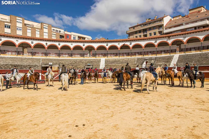 Romería Ecuestre Soria-Valonsadero./ Viksar Fotografía
