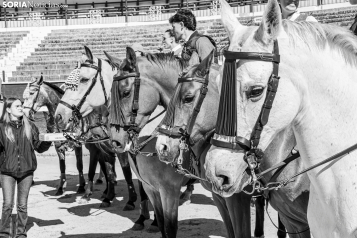 Romería Ecuestre Soria-Valonsadero./ Viksar Fotografía