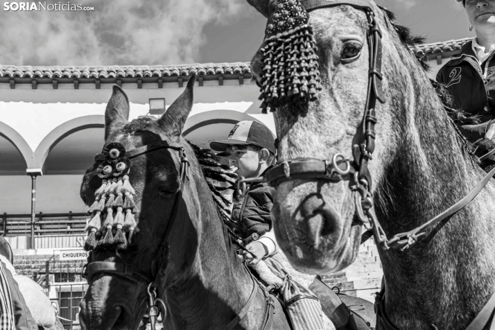 Romería Ecuestre Soria-Valonsadero./ Viksar Fotografía