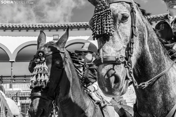 Romería Ecuestre Soria-Valonsadero./ Viksar Fotografía