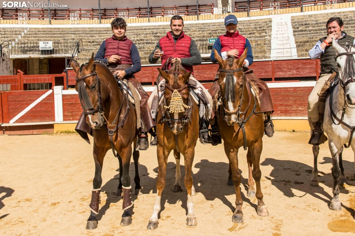 Romería Ecuestre Soria-Valonsadero./ Viksar Fotografía