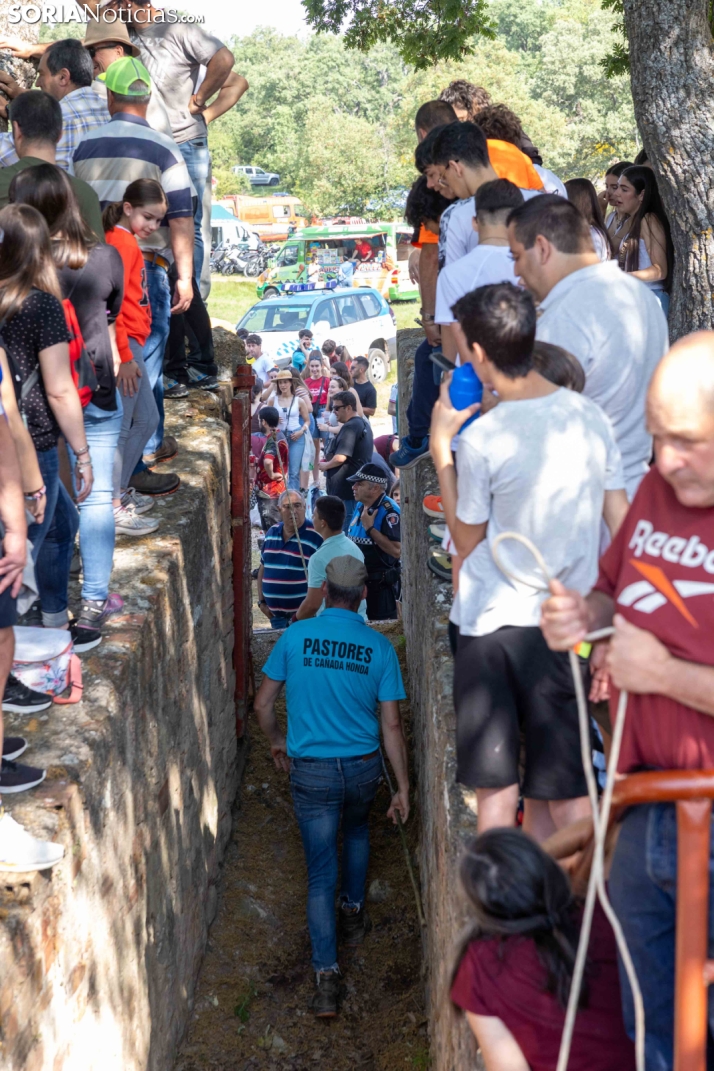 Desencajonamiento 2026./ Viksar Fotografía