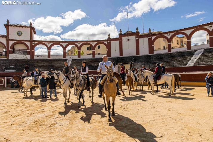 Romería Ecuestre Soria-Valonsadero./ Viksar Fotografía