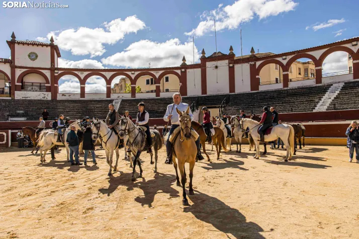 Romería Ecuestre Soria-Valonsadero./ Viksar Fotografía