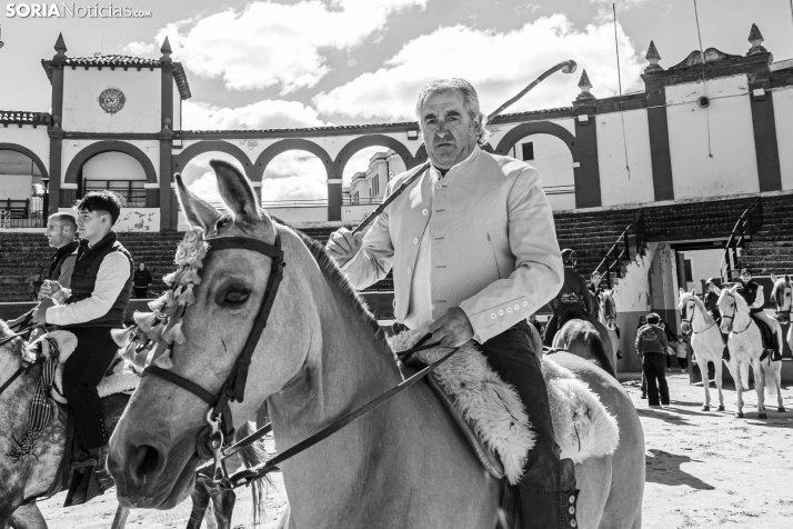 Romería Ecuestre Soria-Valonsadero./ Viksar Fotografía