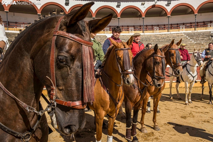 Romería Ecuestre Soria-Valonsadero./ Viksar Fotografía