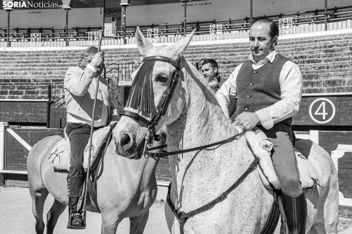 Romería Ecuestre Soria-Valonsadero./ Viksar Fotografía