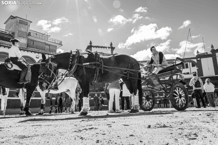 Romería Ecuestre Soria-Valonsadero./ Viksar Fotografía