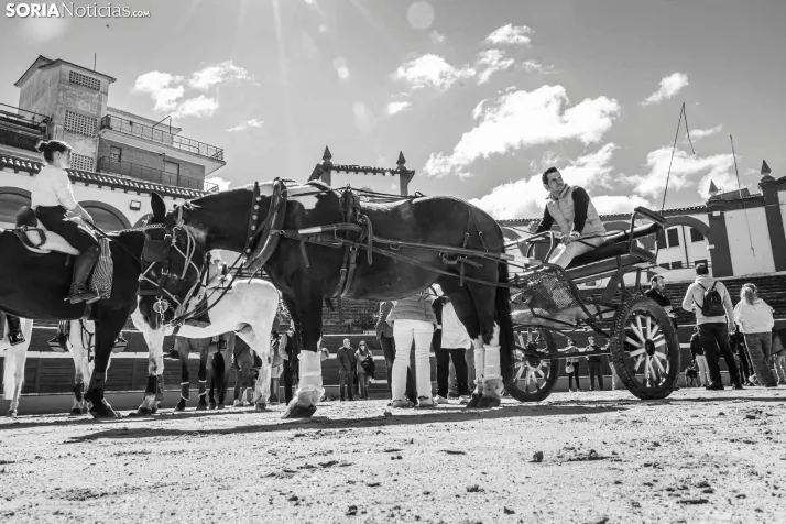 Romería Ecuestre Soria-Valonsadero./ Viksar Fotografía