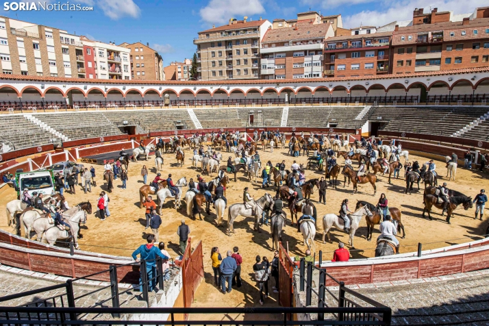 Romería Ecuestre Soria-Valonsadero./ Viksar Fotografía