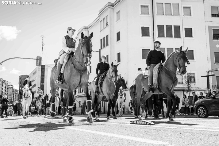 Romería Ecuestre Soria-Valonsadero./ Viksar Fotografía