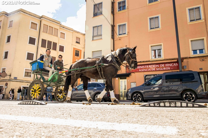 Romería Ecuestre Soria-Valonsadero./ Viksar Fotografía