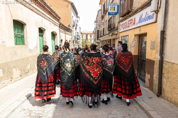 Zarrón Almazán 2026./ Viksar Fotografía
