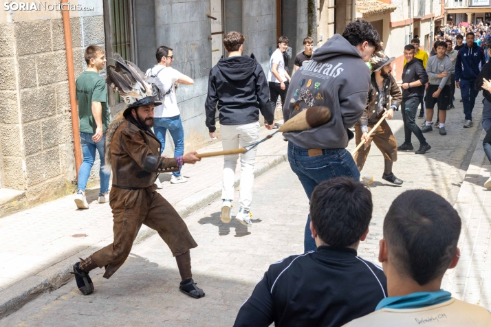 Zarrón Almazán 2026./ Viksar Fotografía