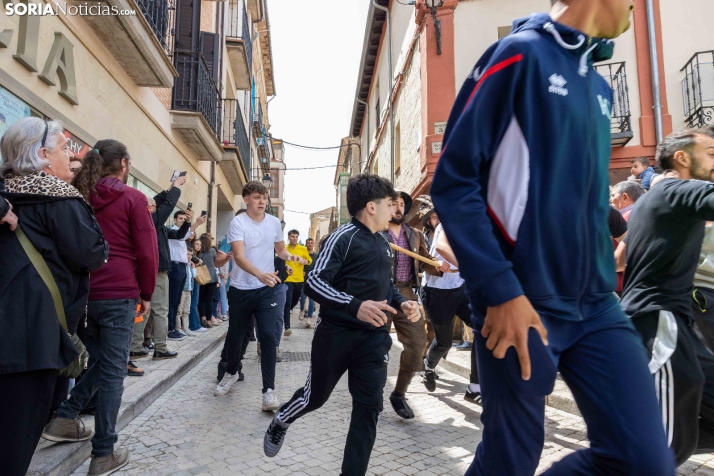 Zarrón Almazán 2026./ Viksar Fotografía