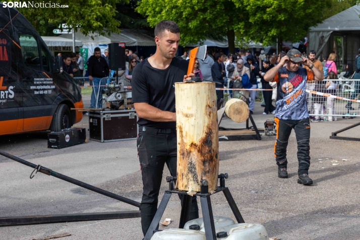 Tallado de Madera con Motosierra./ Viksar Fotografía