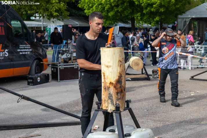 Tallado de Madera con Motosierra./ Viksar Fotografía