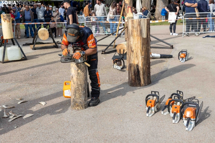 Tallado de Madera con Motosierra./ Viksar Fotografía