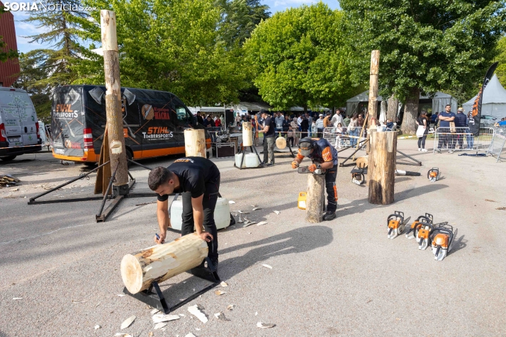 Tallado de Madera con Motosierra./ Viksar Fotografía