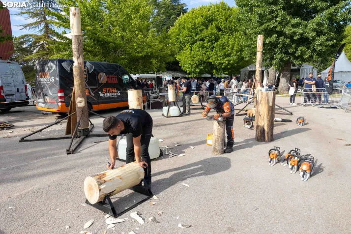 Tallado de Madera con Motosierra./ Viksar Fotografía