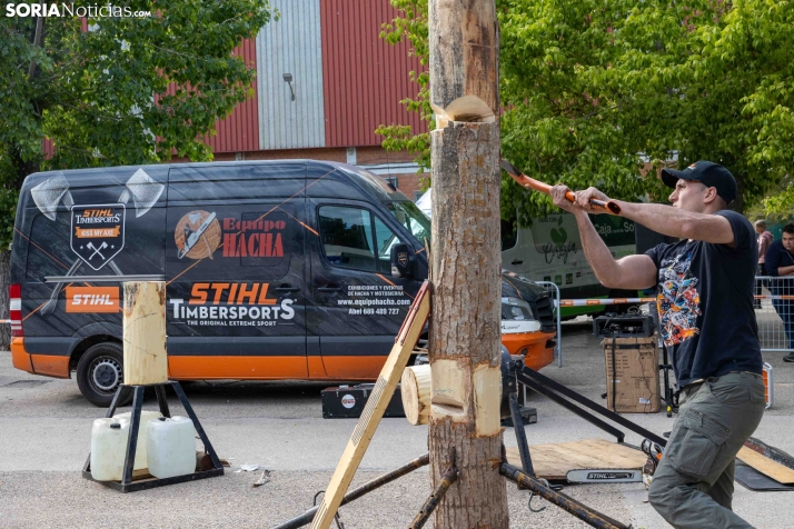 Tallado de Madera con Motosierra./ Viksar Fotografía