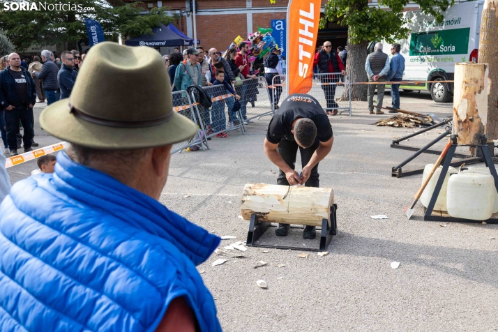 Tallado de Madera con Motosierra./ Viksar Fotografía