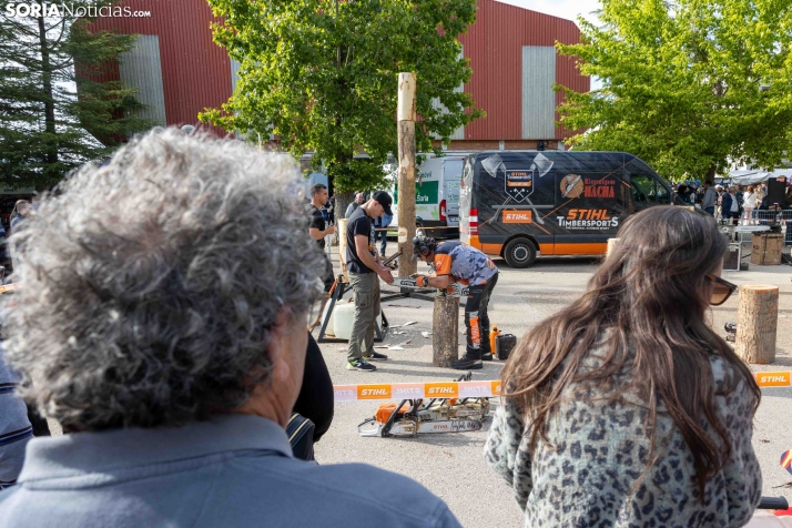 Tallado de Madera con Motosierra./ Viksar Fotografía
