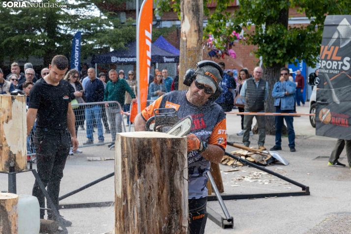 Tallado de Madera con Motosierra./ Viksar Fotografía