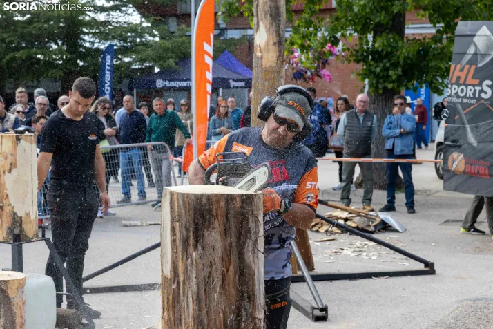 Tallado de Madera con Motosierra./ Viksar Fotografía