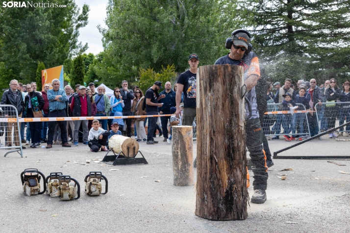 Tallado de Madera con Motosierra./ Viksar Fotografía
