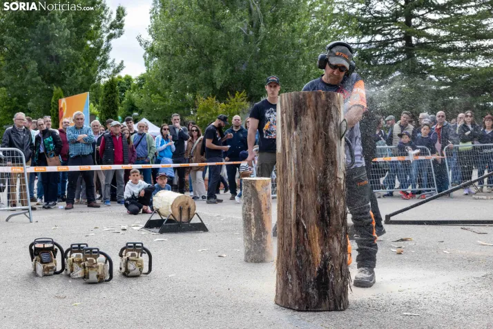 Tallado de Madera con Motosierra./ Viksar Fotografía