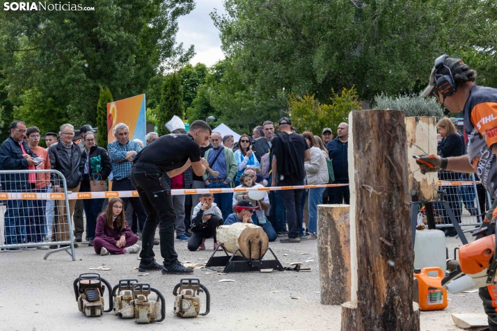 Tallado de Madera con Motosierra./ Viksar Fotografía