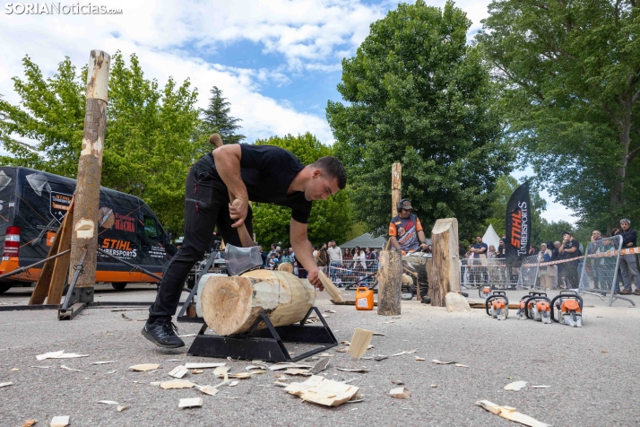 Tallado de Madera con Motosierra./ Viksar Fotografía